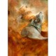 CAROL CAVALARIS GREETING CARD Howling Wolves